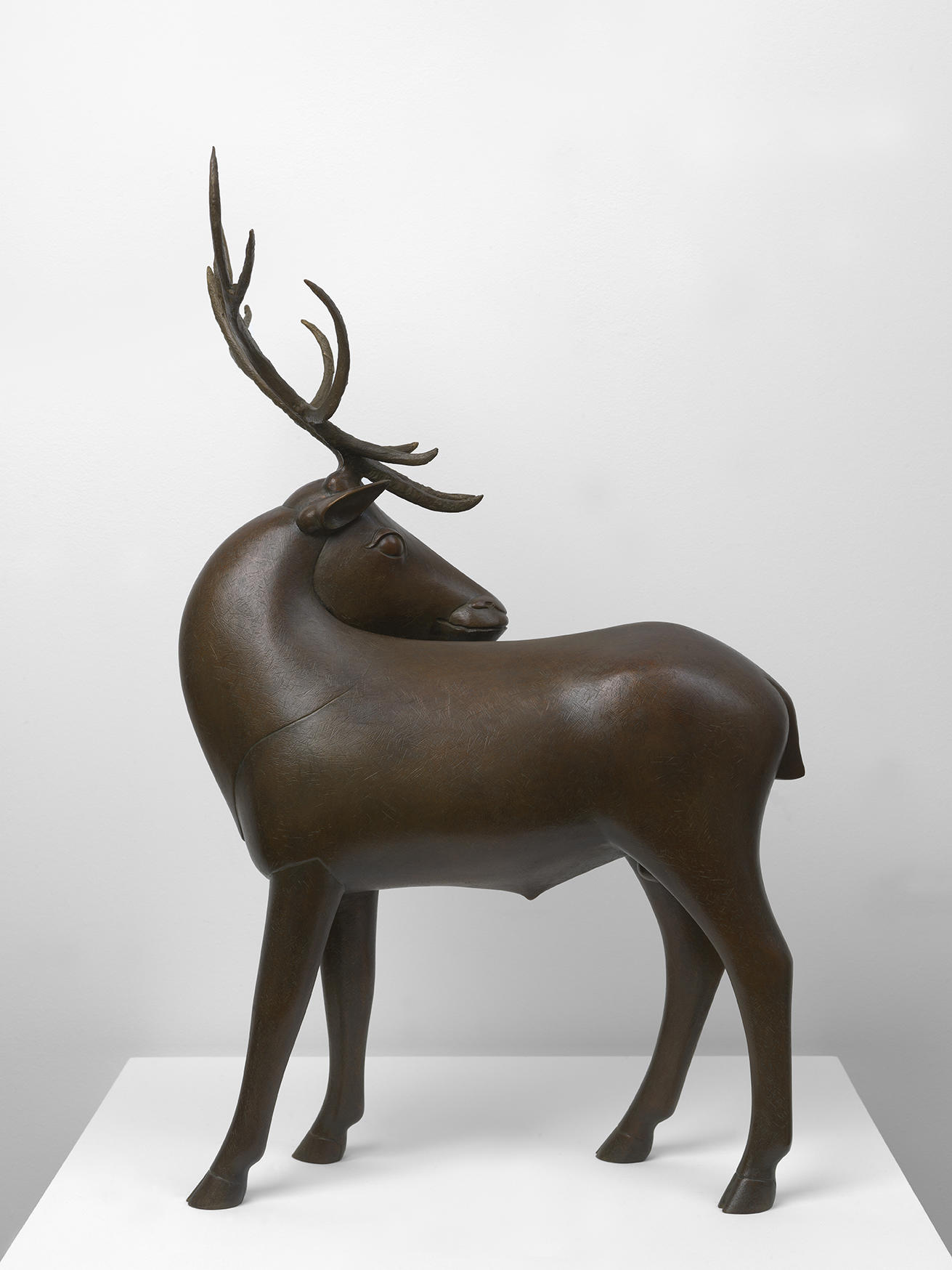 Wapiti (Petit)